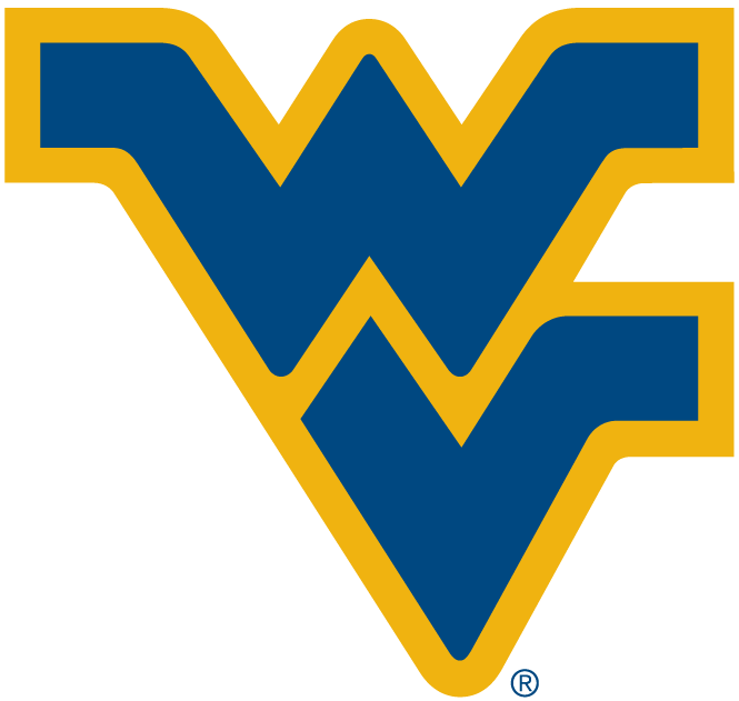 West Virginia Mountaineers 1980-Pres Alternate Logo diy fabric transfer...